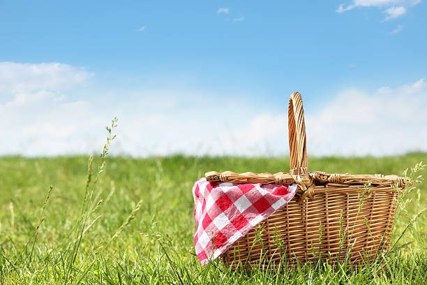picnic basket in grass field