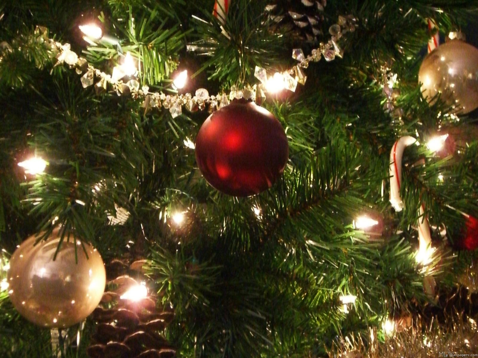Christmas tree with red ornament